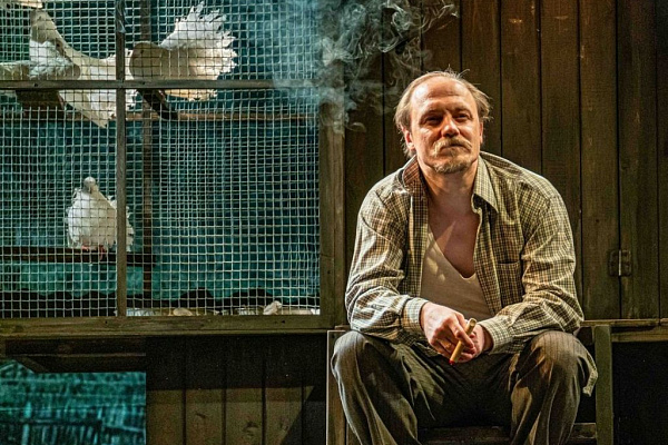 фотография Любовь и голуби