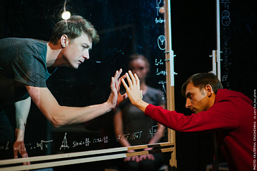 Загадочное ночное убийство собаки