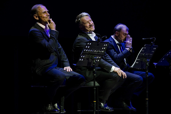 фотография Гамлет STORY