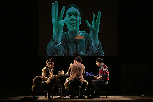 фотография Антарктида